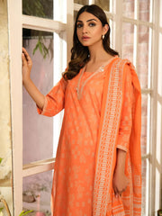 2 Piece Lawn Suit-Paste Print